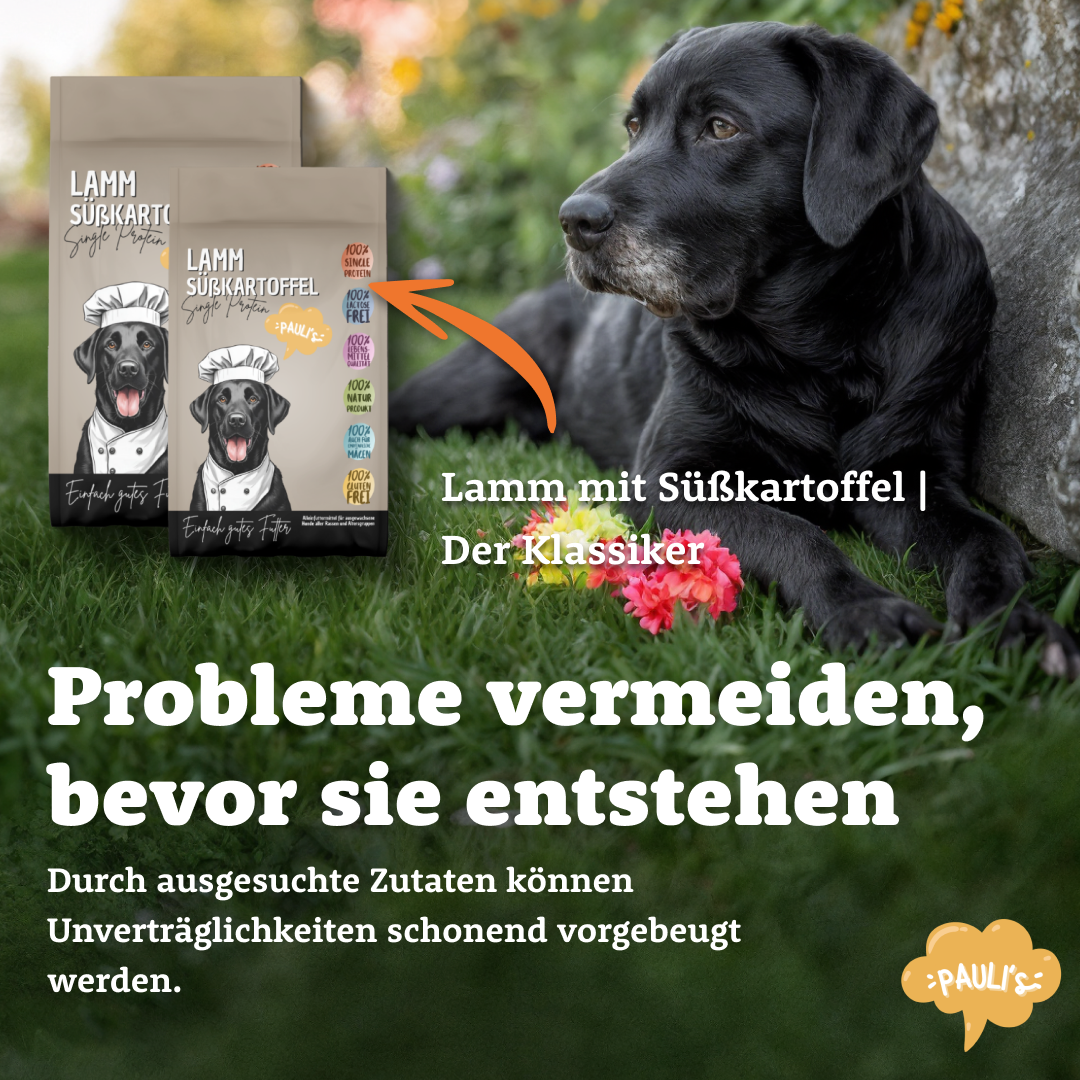Lamm Süßkartoffel | Singleprotein | Der Klassiker