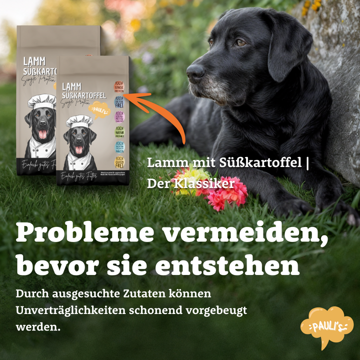 Lamm Süßkartoffel | Singleprotein | Der Klassiker