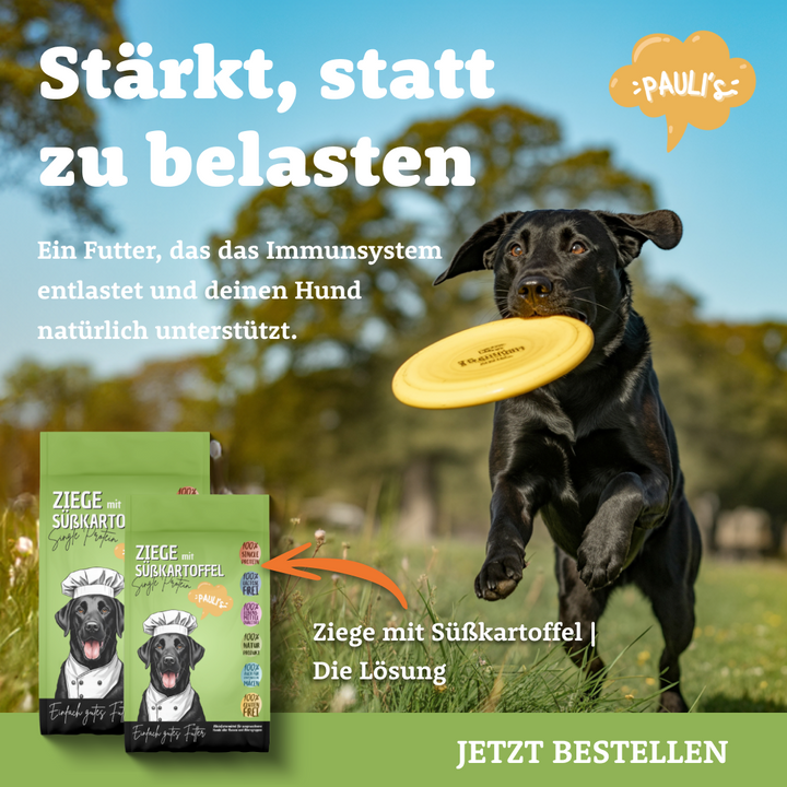 Ziege und Süßkartoffel | Singleprotein | Die Lösung